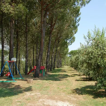Il Selvino Terricciola