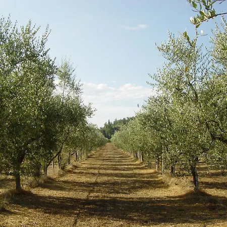 Farm stay Il Selvino Terricciola