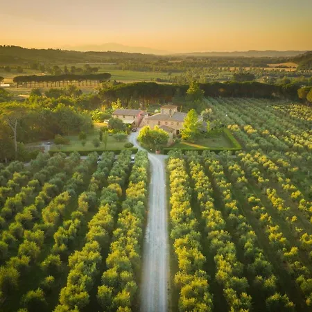 Farm stay Il Selvino Terricciola